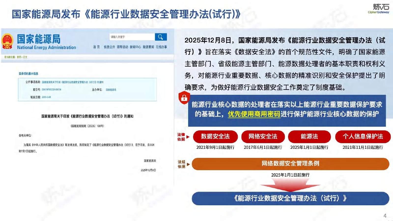炼石网络：2025年能源行业数据安全管理办法（试行）_第4页