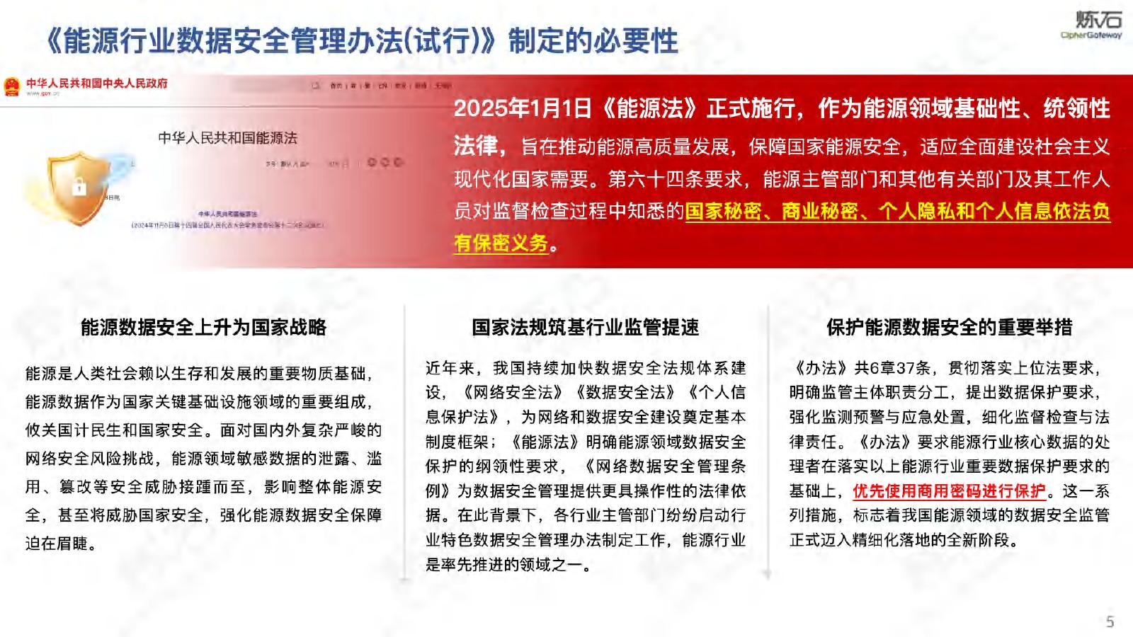 炼石网络：2025年能源行业数据安全管理办法（试行）_第5页