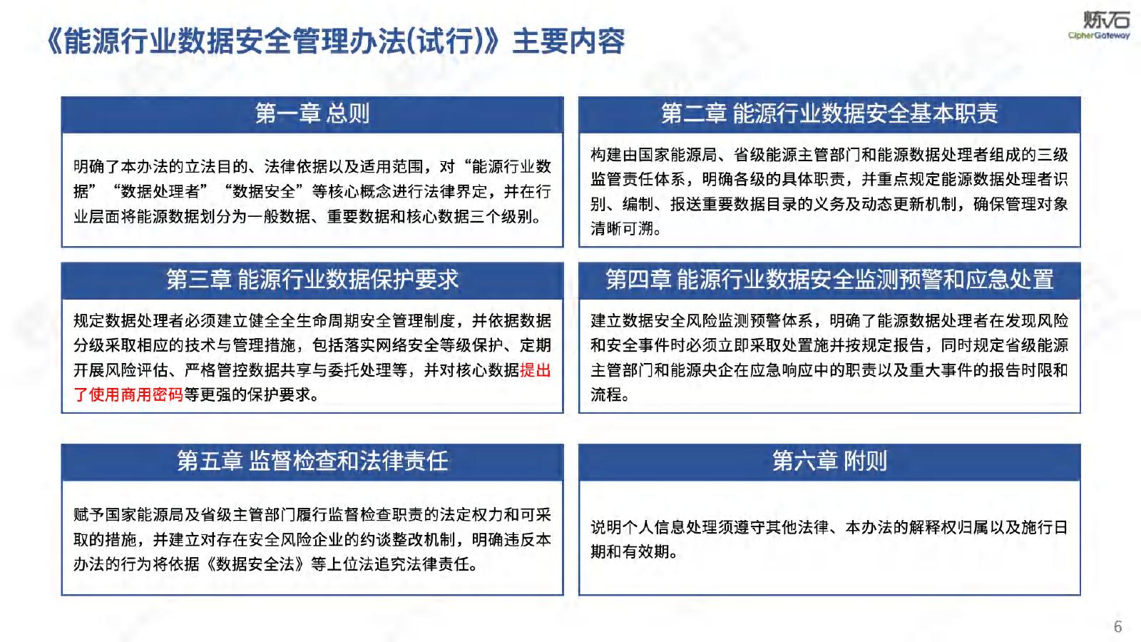 炼石网络：2025年能源行业数据安全管理办法（试行）_第6页