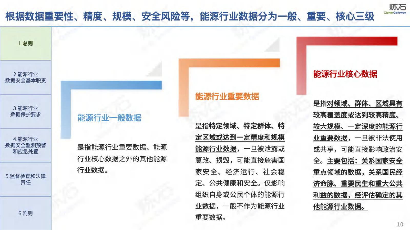 炼石网络：2025年能源行业数据安全管理办法（试行）_第10页