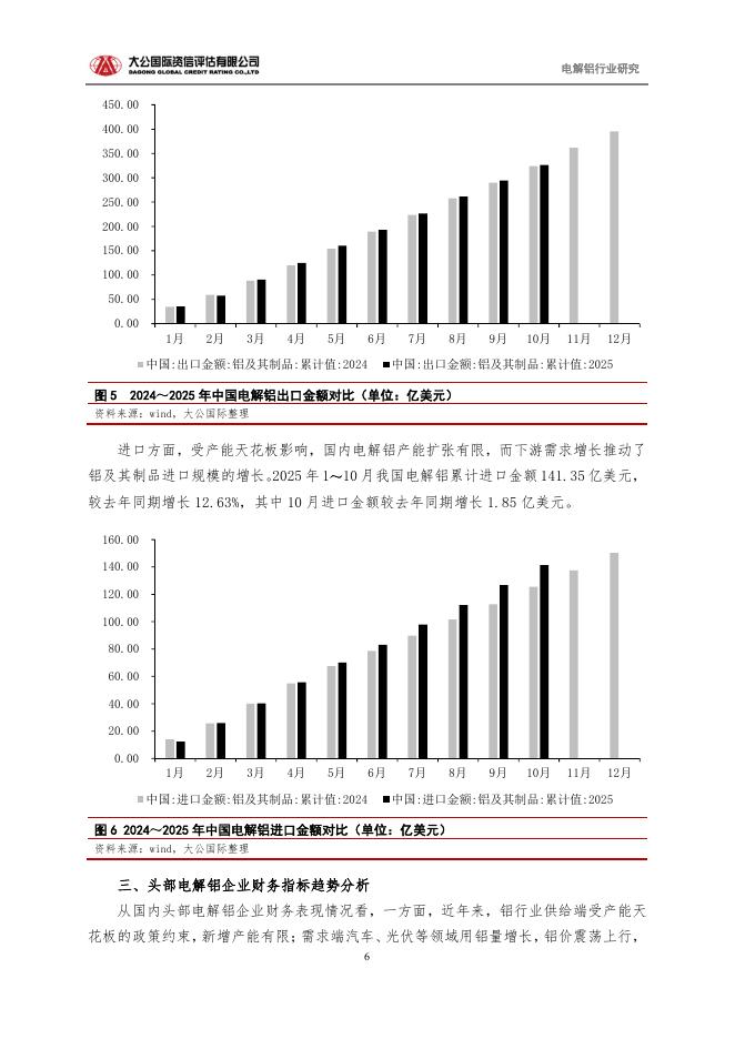 大公国际资信评估有限公司：2025年电解铝行业运行研究报告_第6页