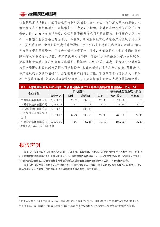 大公国际资信评估有限公司：2025年电解铝行业运行研究报告_第7页
