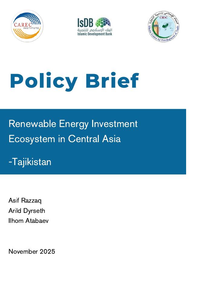 中亚学院：2025年中亚-塔吉克斯坦可再生能源投资生态系统政策简报（英文版）海报