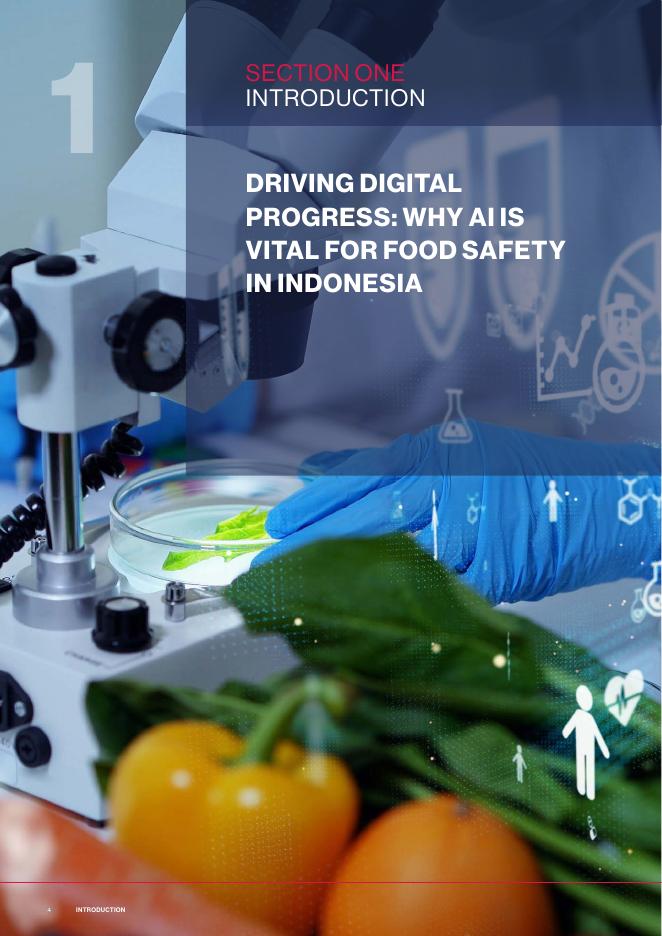亚洲之家：2025年印度尼西亚公共部门AI就绪度研究报告：全国食品安全转型的挑战与机遇（英文版）_第6页