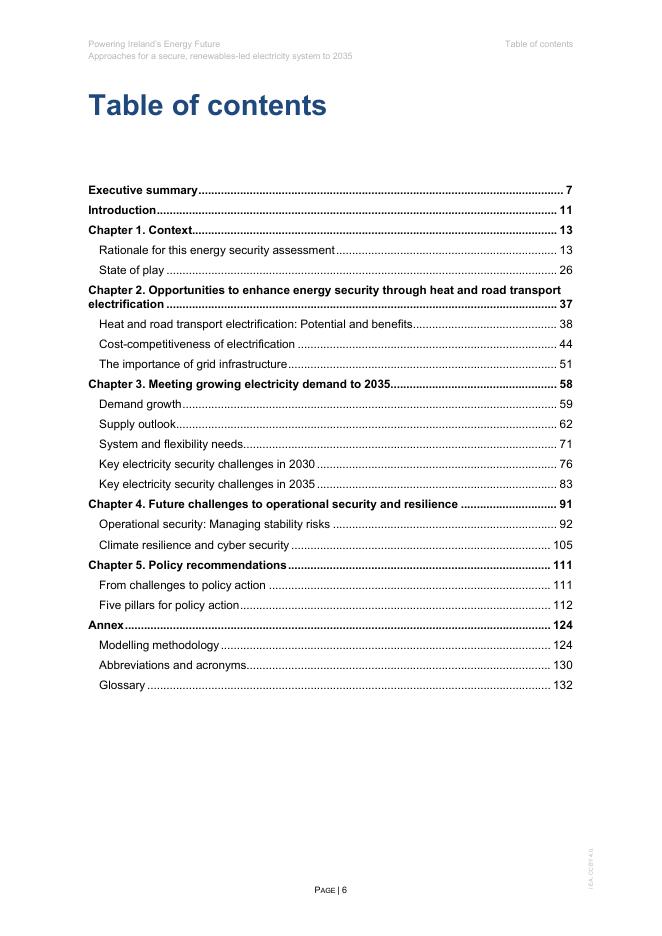 IEA国际能源署：2025年赋能爱尔兰能源未来研究报告（英文版）_第6页