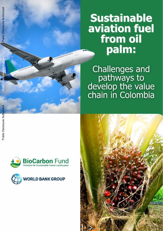 世界银行：2025年棕榈油可持续航空燃料：哥伦比亚价值链发展的挑战和途径报告（英文版）