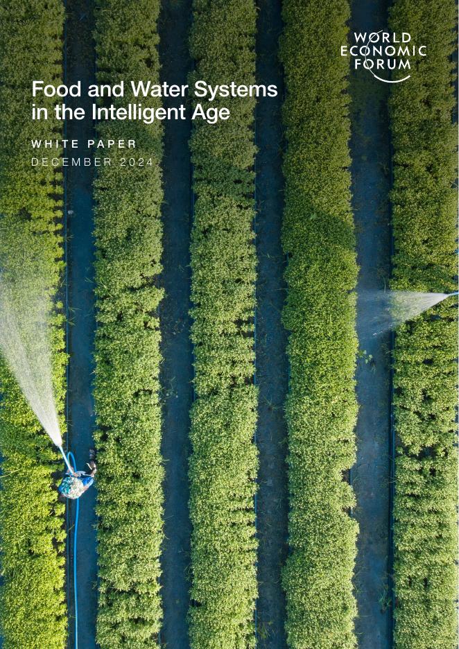 世界经济论坛：2024年智能时代的食物和水系统白皮书（英文版）海报