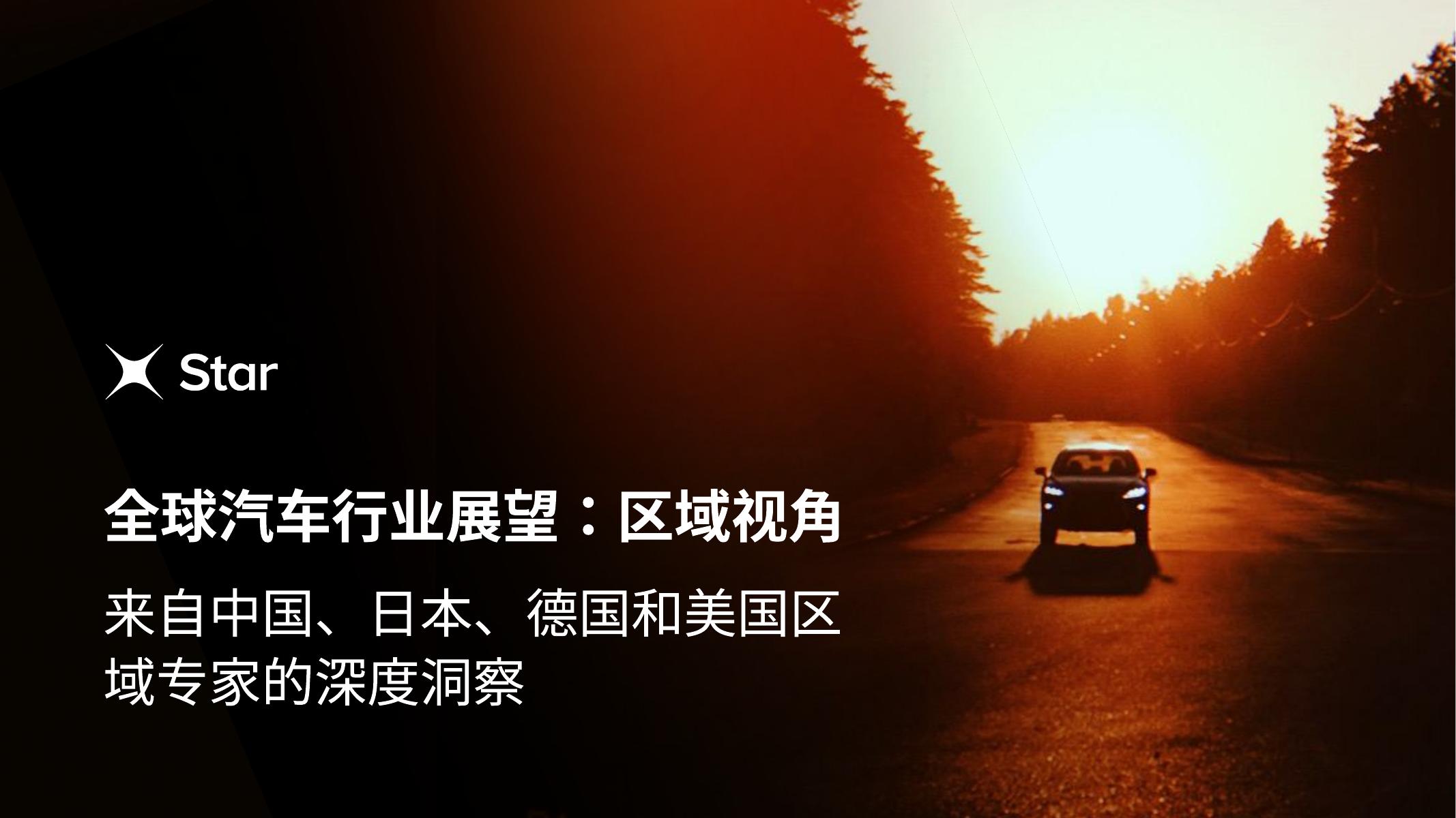 Star：2025年全球汽车行业展望报告：区域视角海报