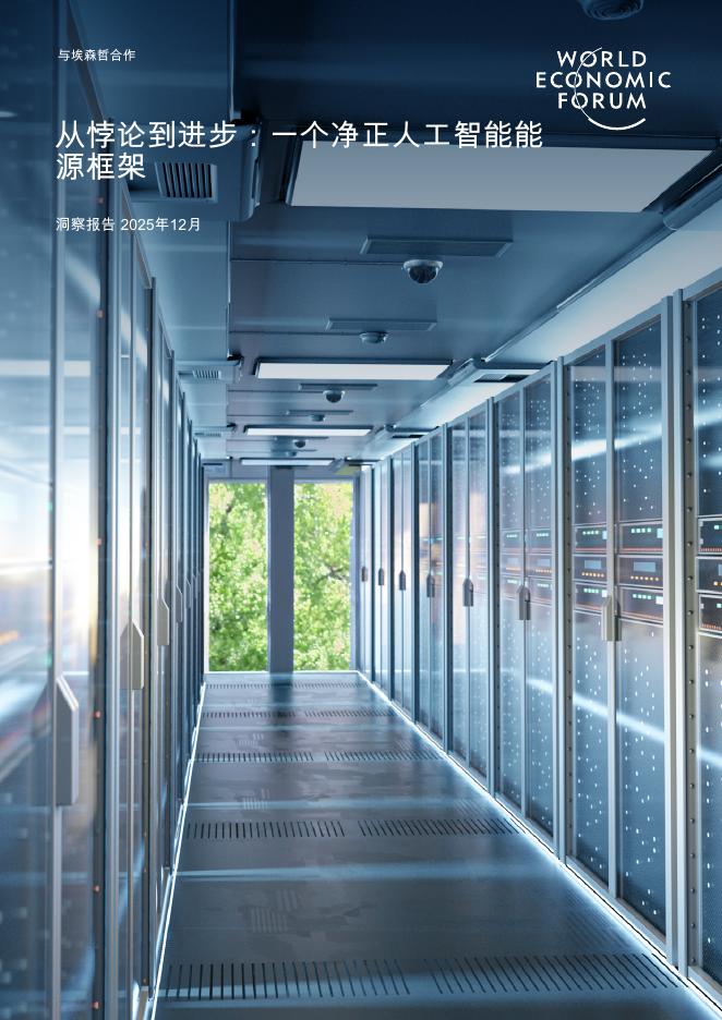 世界经济论坛：2025年从悖论到进步-一个净正人工智能能源框架报告海报