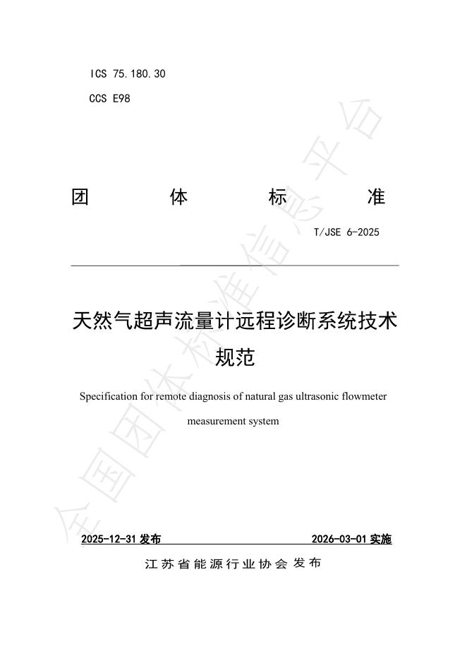 T/JSE 6-2025 天然气超声流量计远程诊断系统技术规范