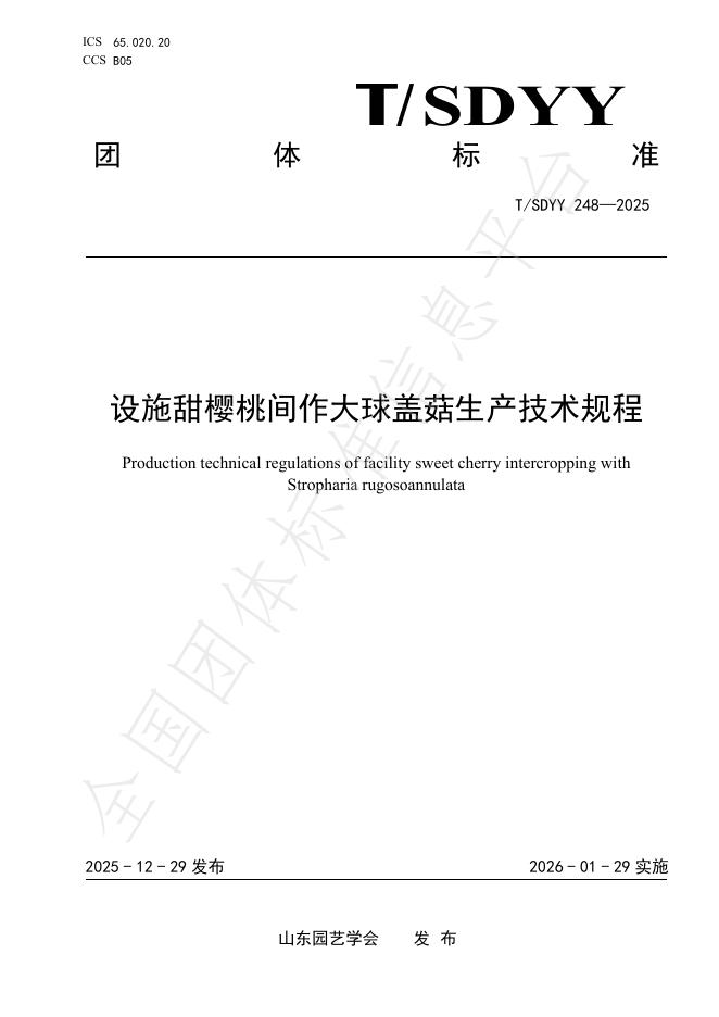 T/SDYY 248-2025 设施甜樱桃间作大球盖菇生产技术规程