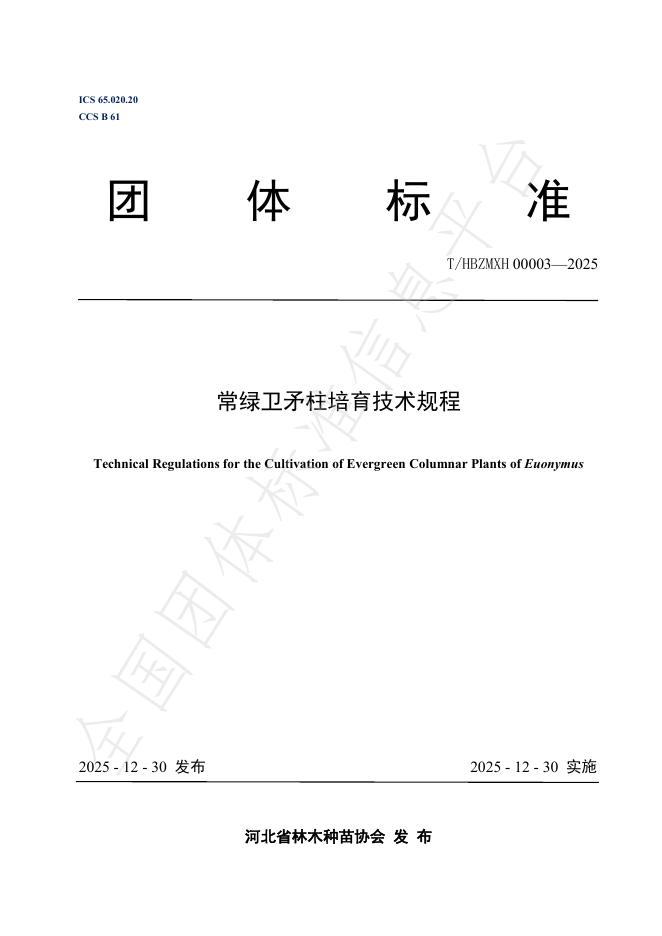 T/HBZMXH 00003-2025 常绿卫矛柱培育技术规程