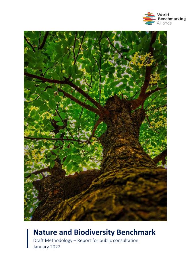 世界基准联盟（WBA）：2022年自然与生物多样性基准报告（英文版）海报