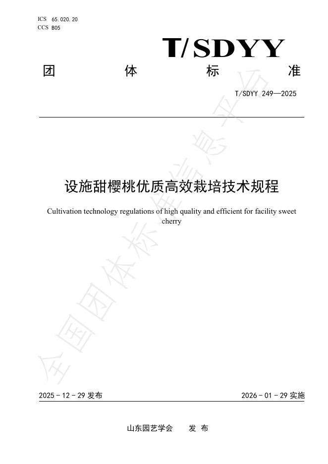 T/SDYY 249-2025 设施甜樱桃优质高效栽培技术规程