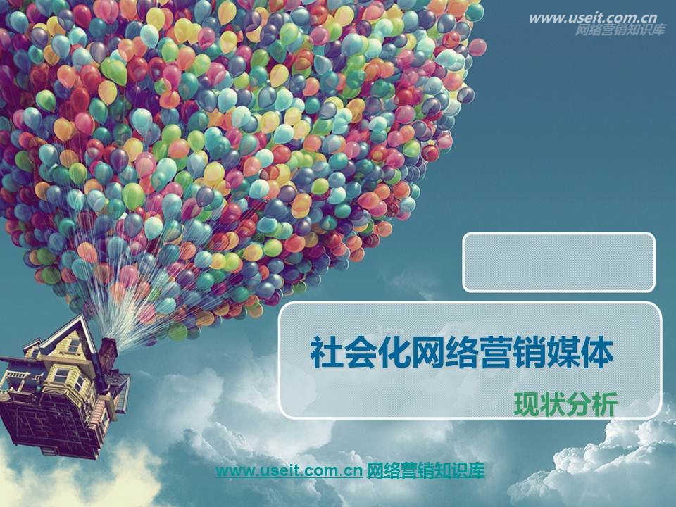 2013年社会化网络营销媒体现状分析