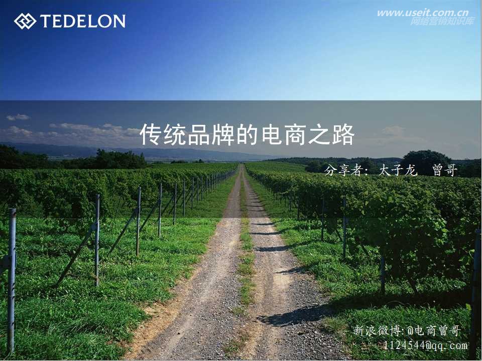 TEDELON：传统品牌的电商之路