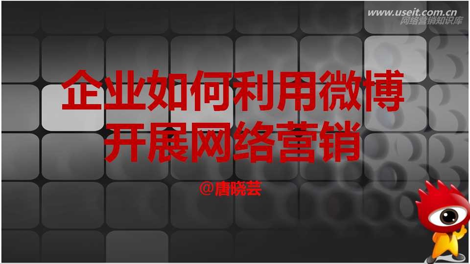 唐晓芸：企业如何利用微博开展网络营销