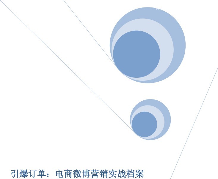 引爆订单：电商微博营销实战档案