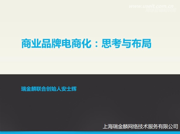 瑞金麟：2013年商业品牌电子商务布局与思考