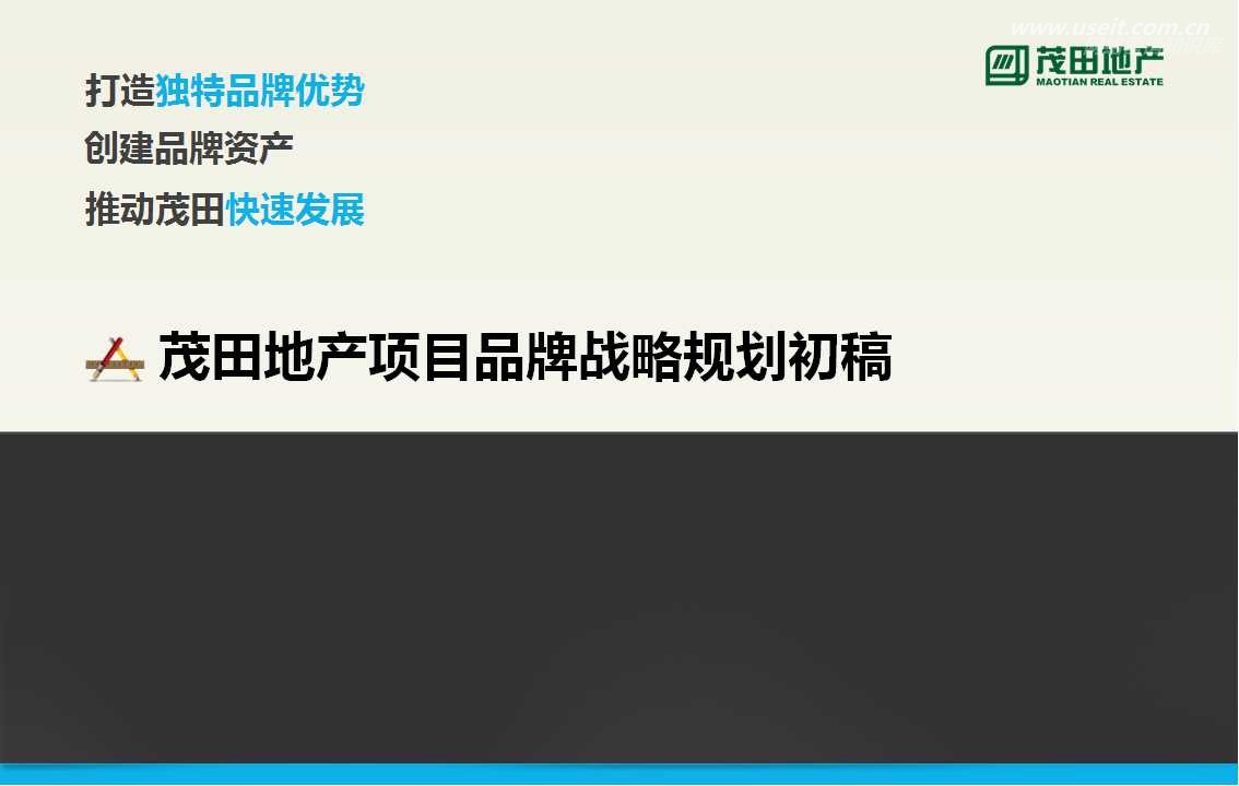 茂田地产项目品牌战略规划案初稿