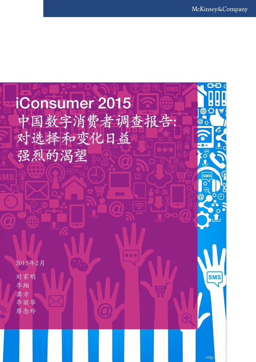 麦肯锡：iConsumer 2015 中国数字消费者调查报告