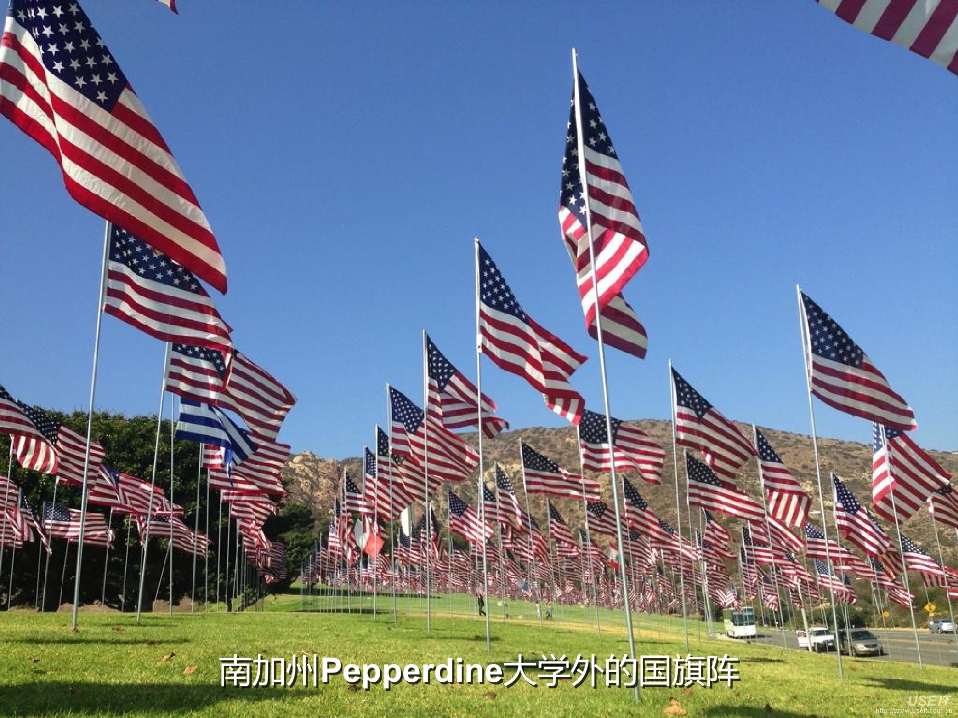 Facebook总部和美国硅谷梦工厂照片欣赏