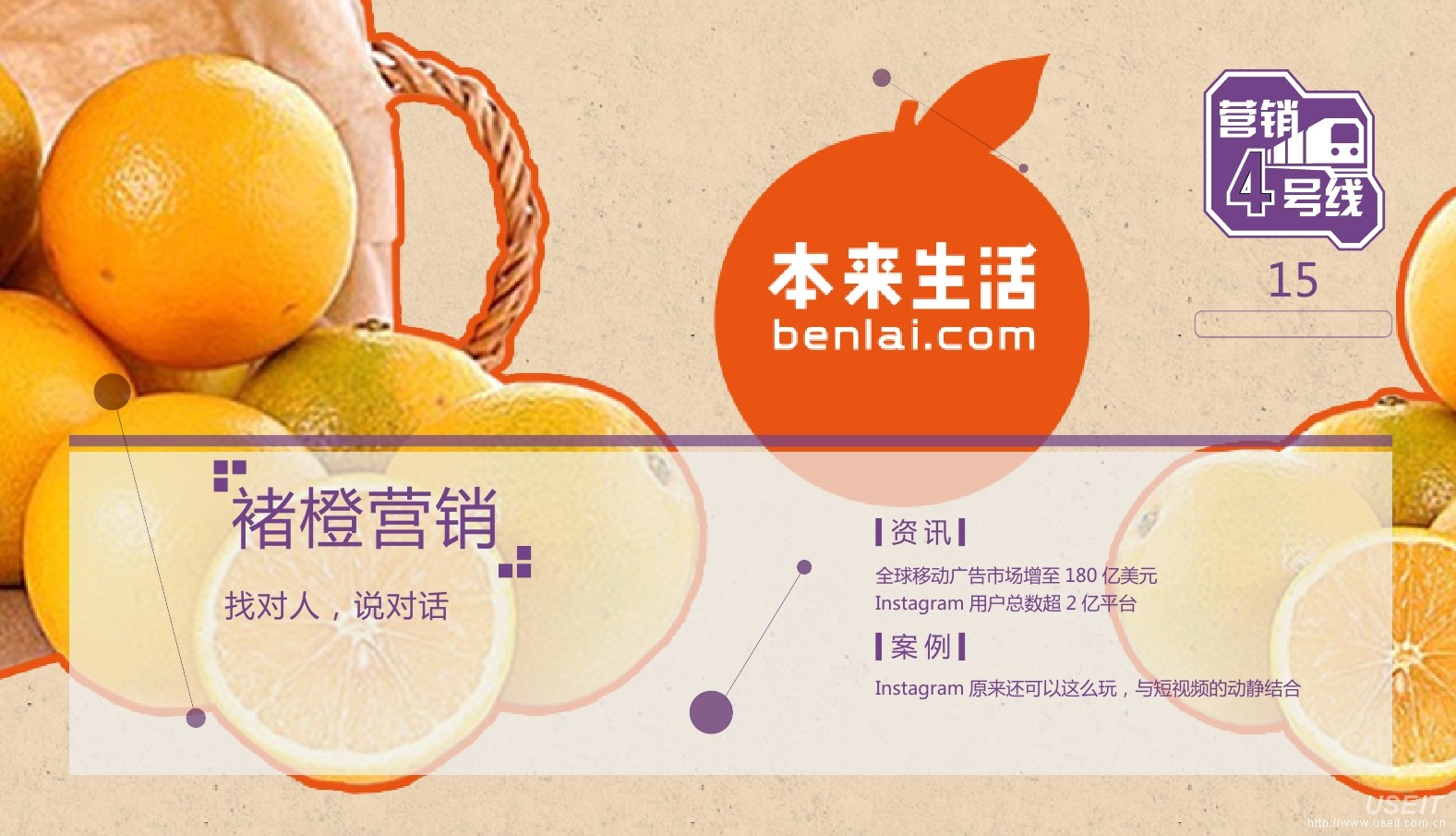褚橙营销案例：电商思维的营销ROI就是一切