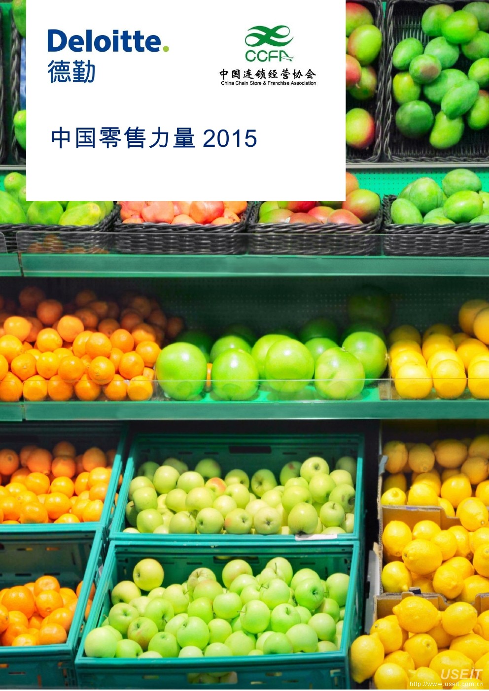 德勤&中国连锁经营协会：中国零售力量 2015