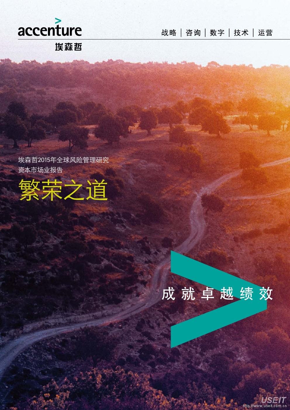 埃森哲：2015年全球风险管理研究——资本市场业报告 海报