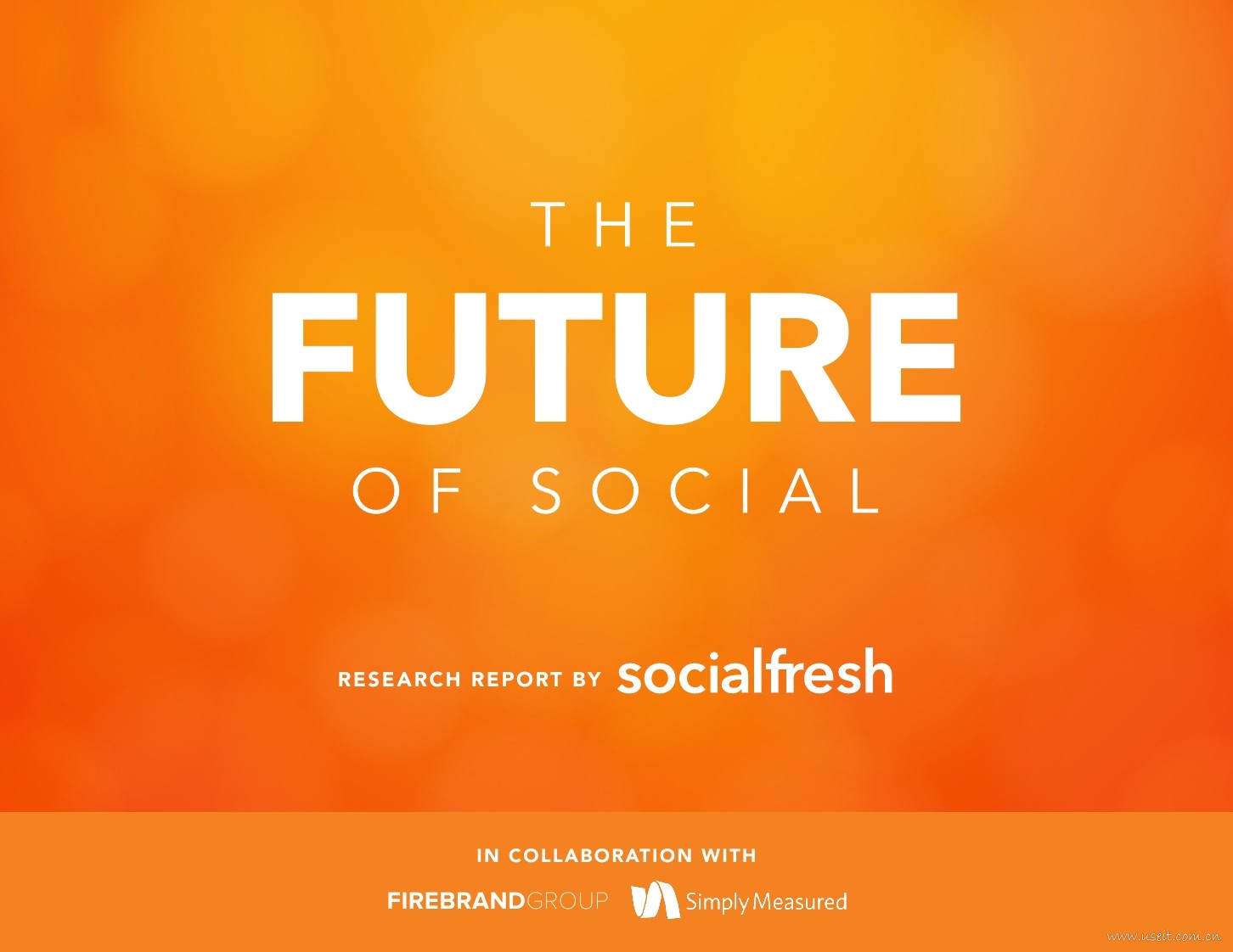 SocialFresh：未来的社交媒体（英文版）