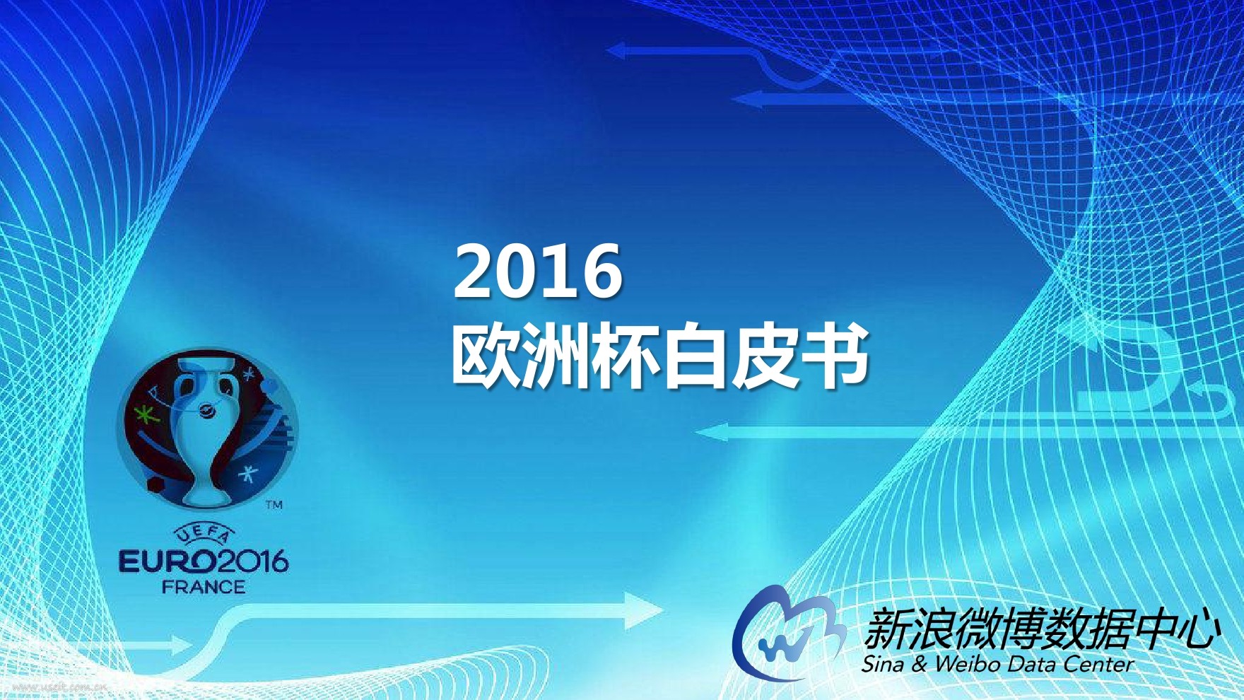新浪微博：2016年欧洲杯白皮书