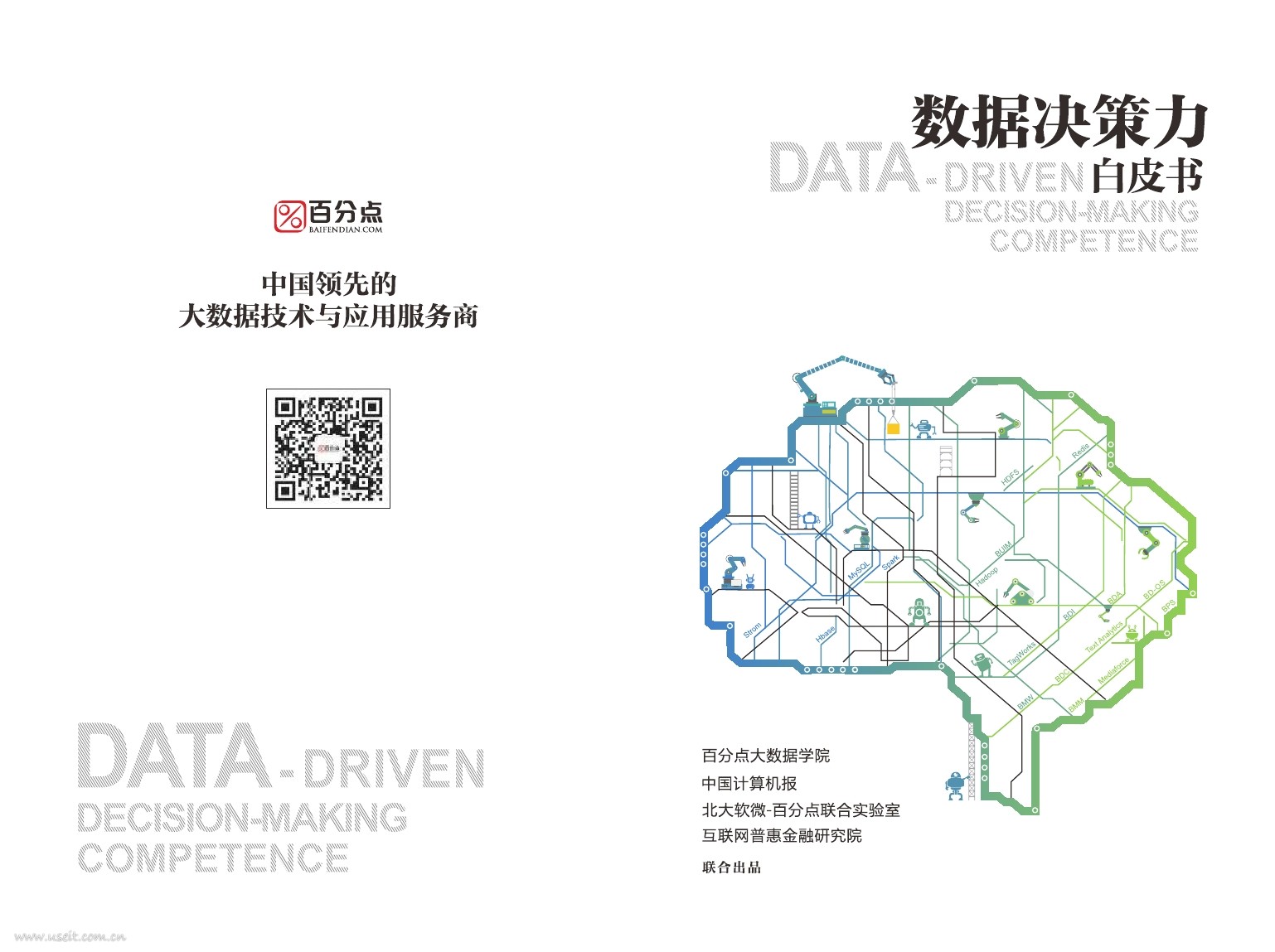 百分点：数据决策力白皮书
