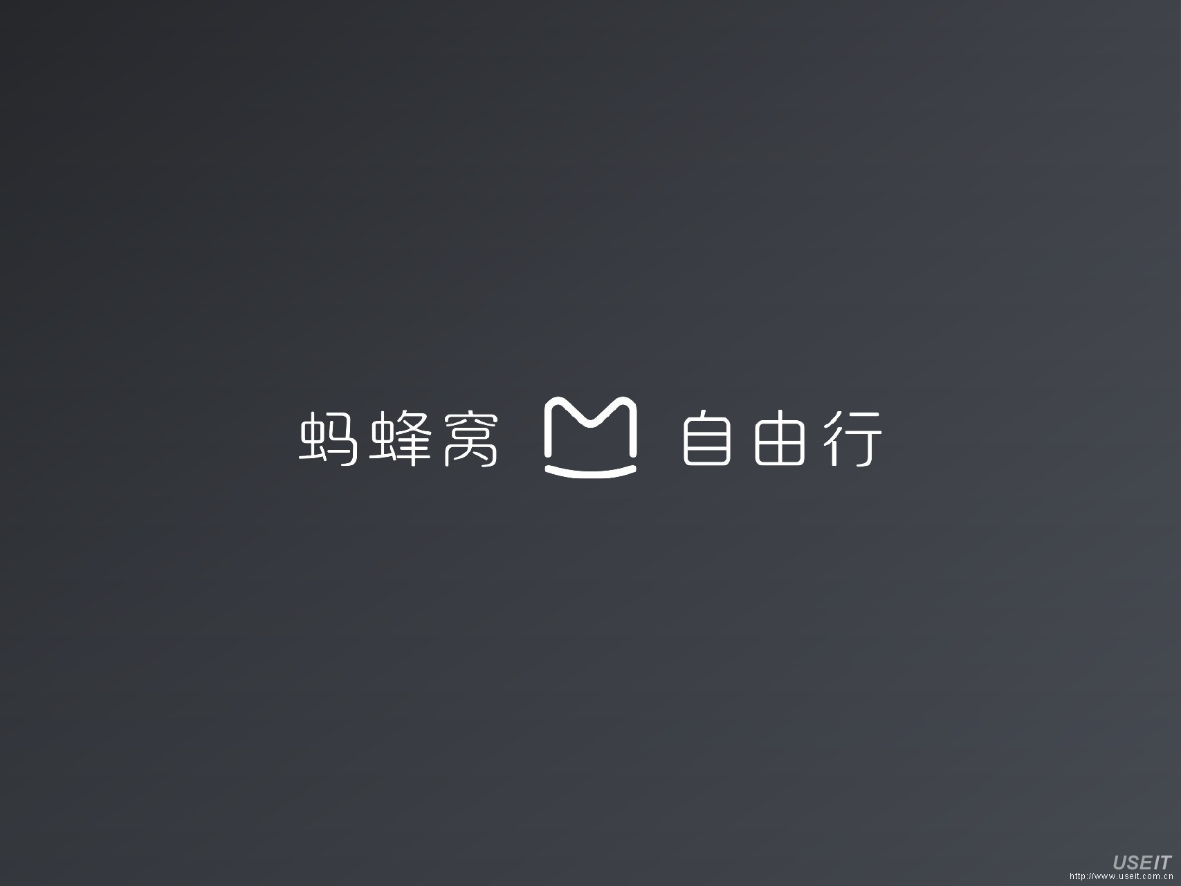 蚂蜂窝创始人 陈罡：互联网侏罗纪基因决定进化，基因决定灭绝