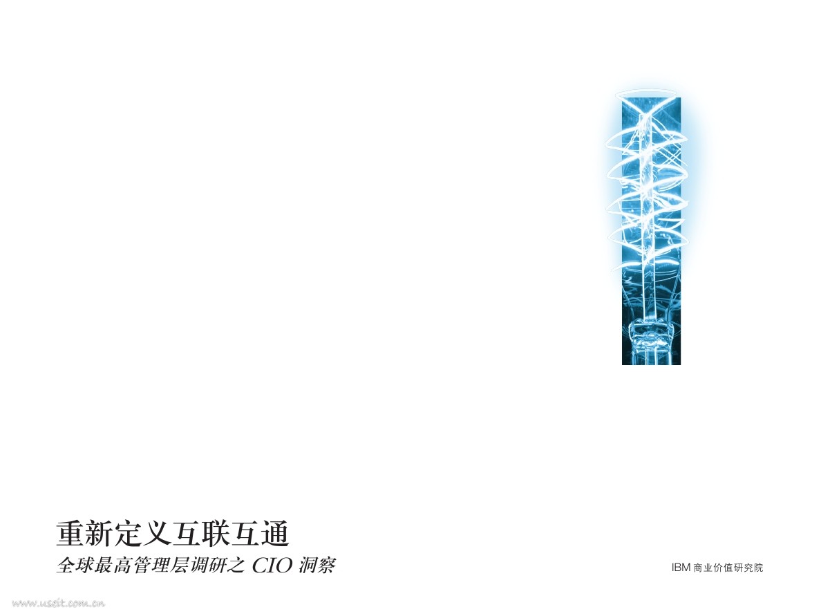 IBM 商业价值研究院：CIO洞察，重新定义互联互通