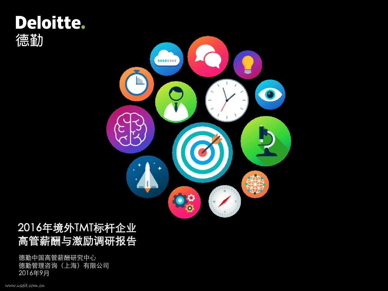 德勤：2016年境外TMT标杆企业高管薪酬与激励调研报告