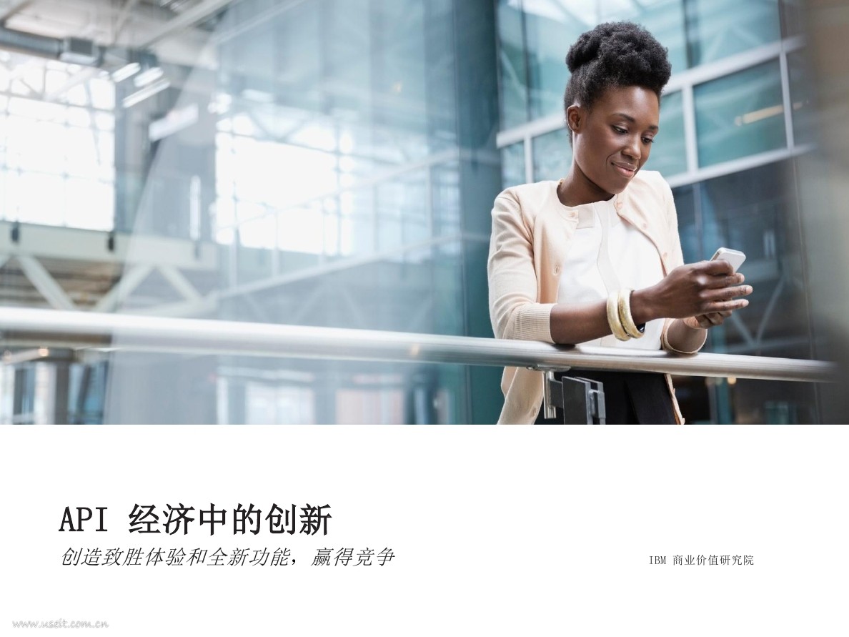 IBM 商业价值研究院：API 经济中的创新
