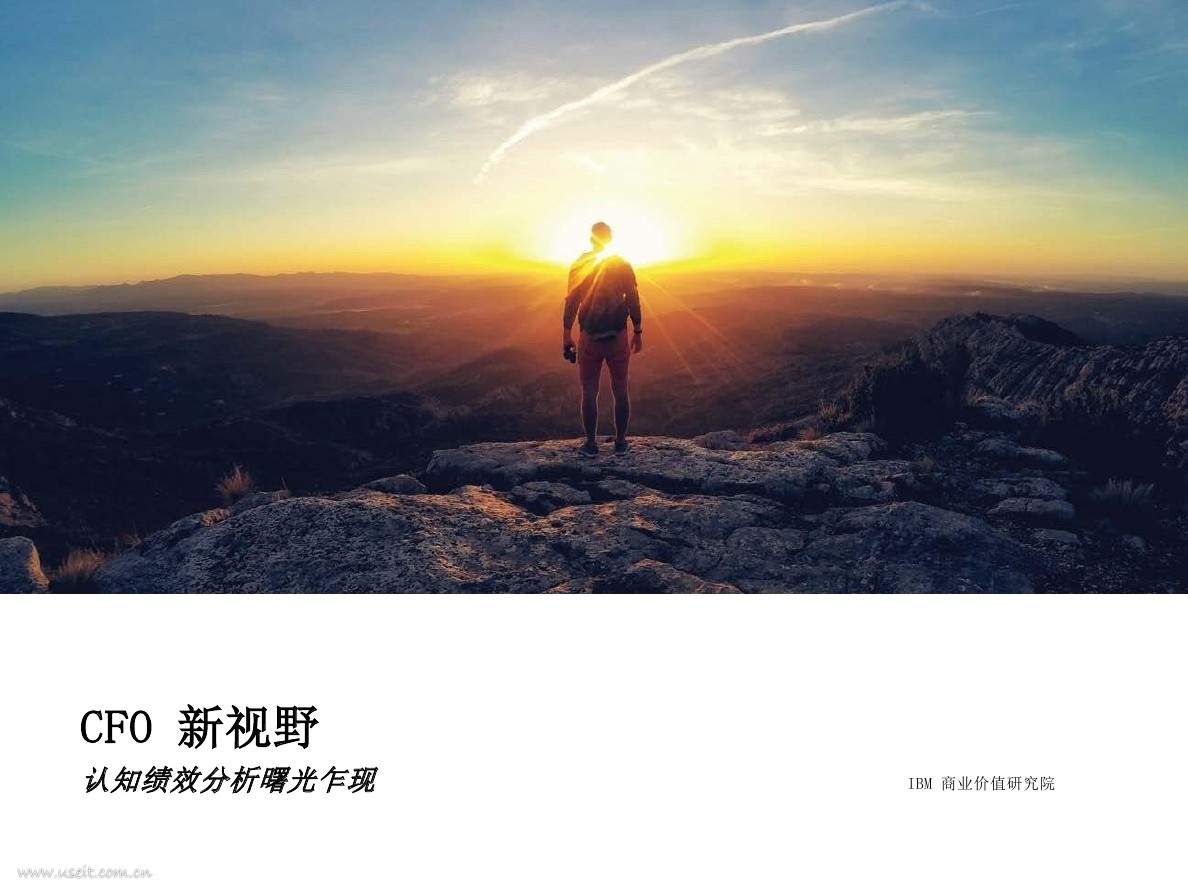 IBM 商业价值研究院：CFO 新视野，认知绩效分析曙光乍现