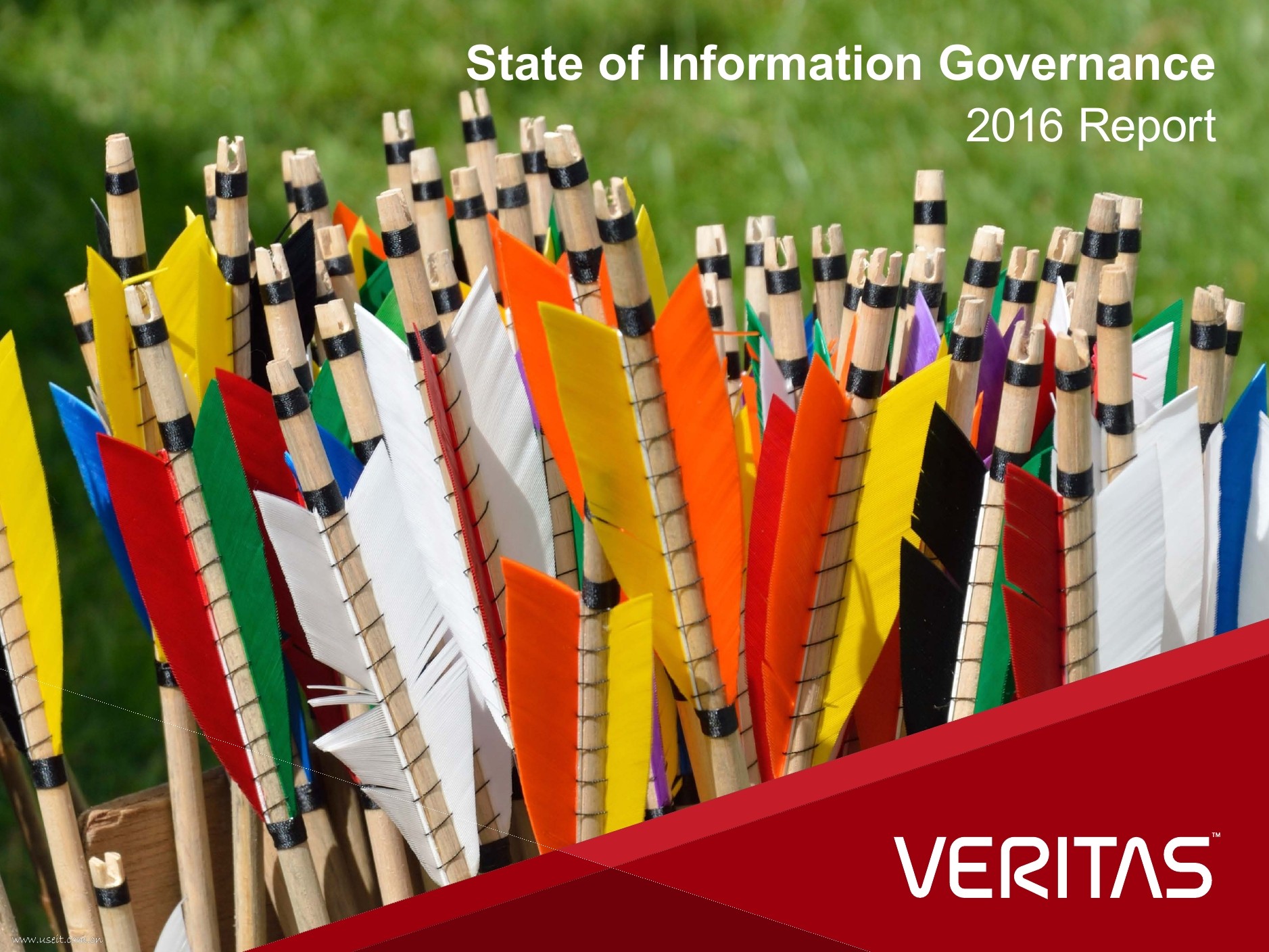 Veritas：2016信息治理现状报告（英文版）