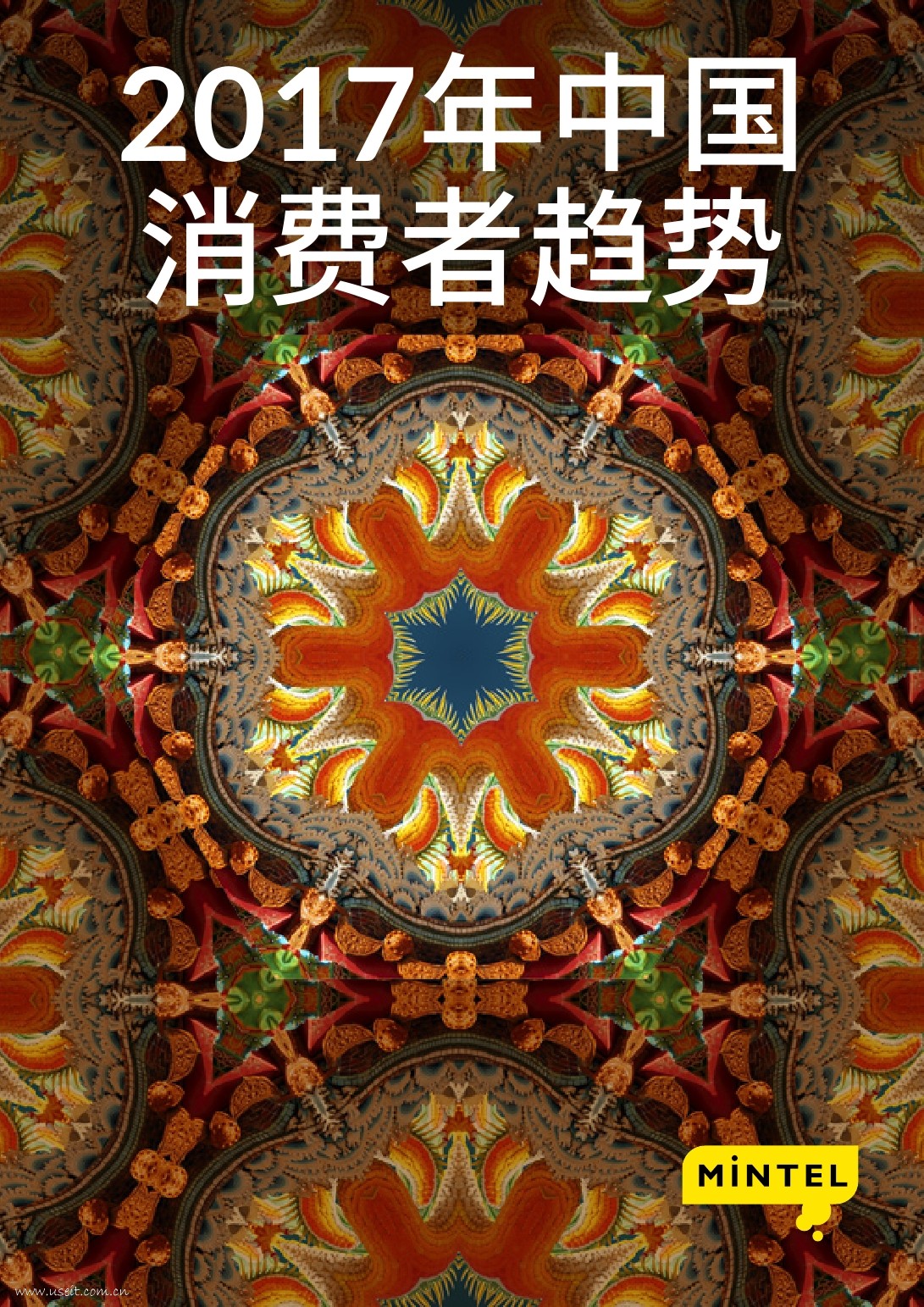 英敏特：2017年中国消费者趋势
