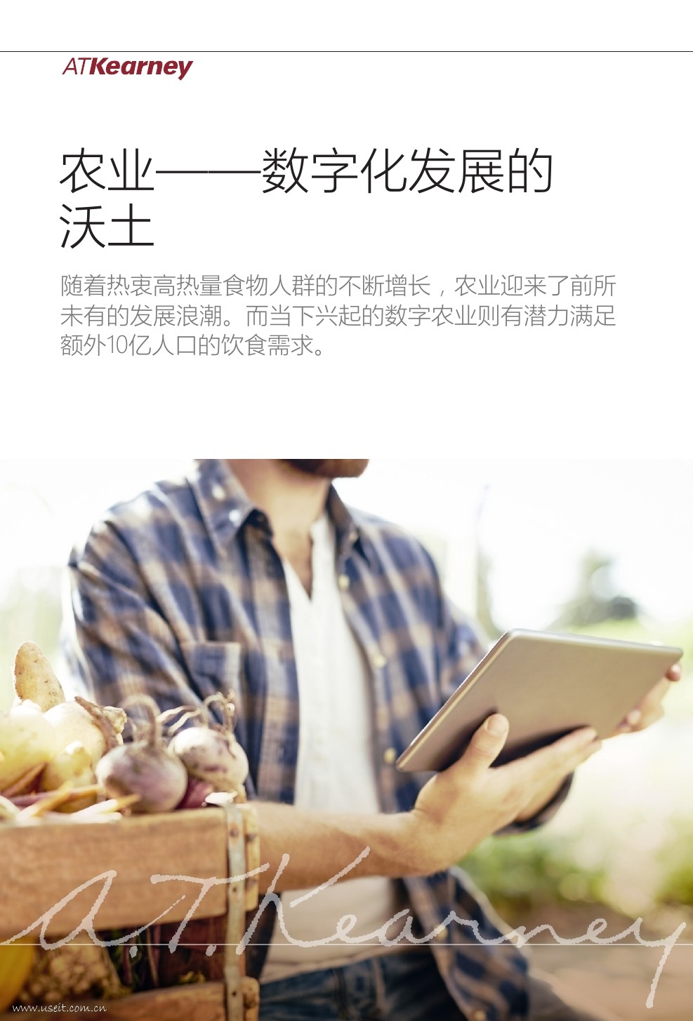 科尔尼：农业--数字化发展的沃土