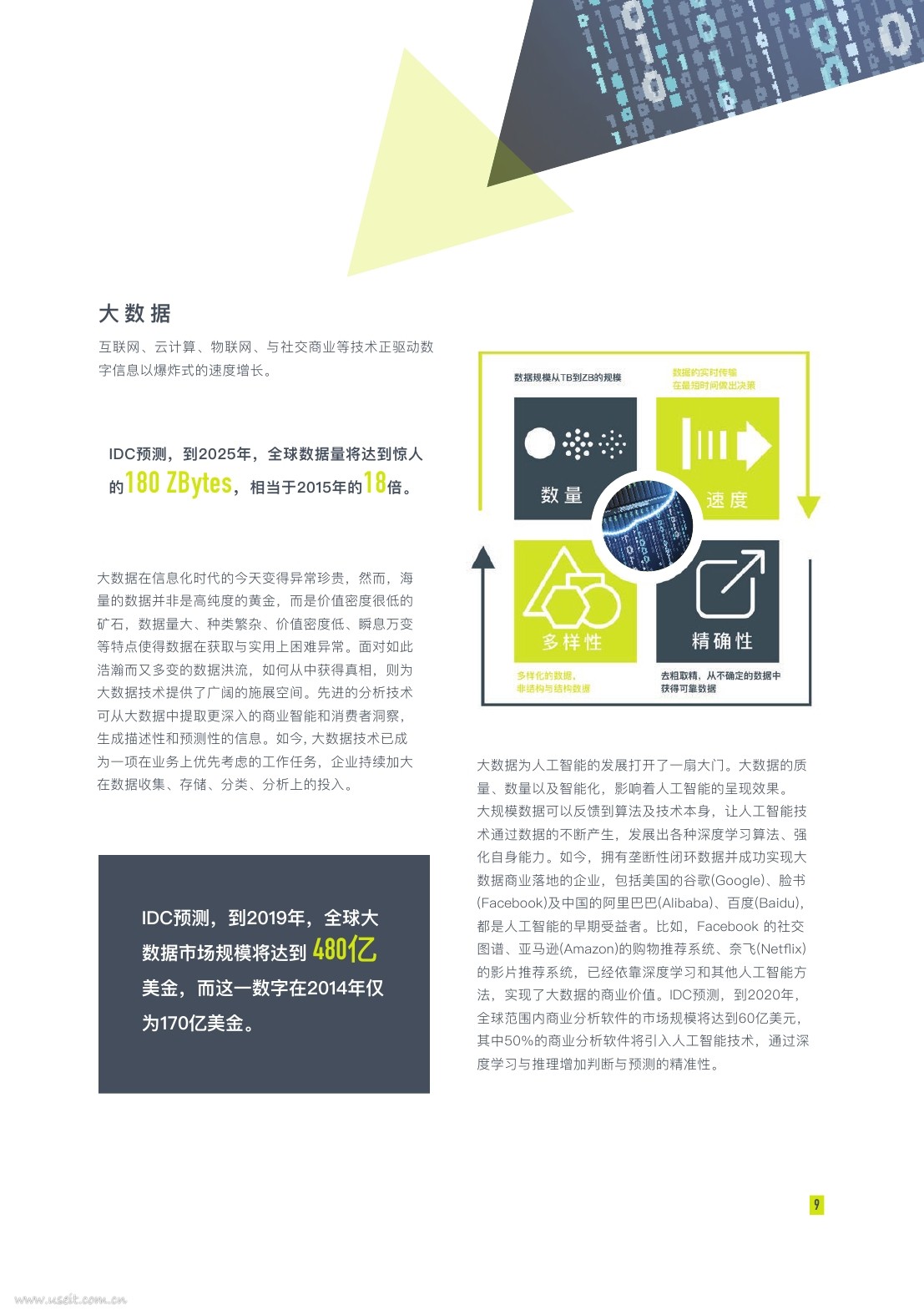 IDC&Pinhole：人工智能引领全球数字化转型白皮书_第9页