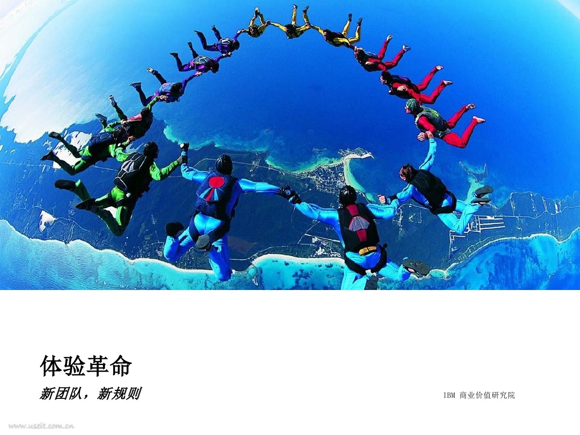 IBM 商业价值研究院：体验革命--新团队，新规则
