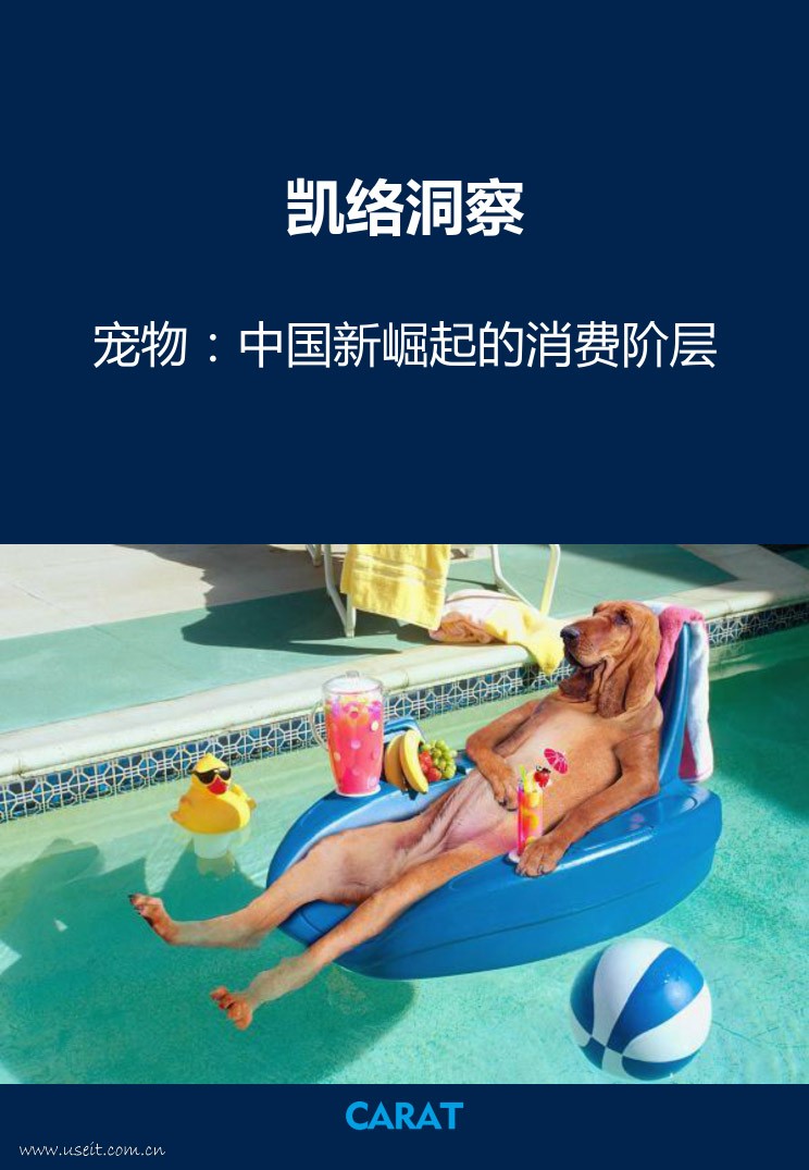 凯络洞察：宠物，中国新崛起的消费阶层