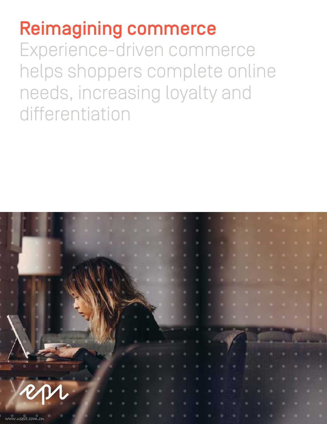 Episerver：网络购物消费体验调查（英文版）