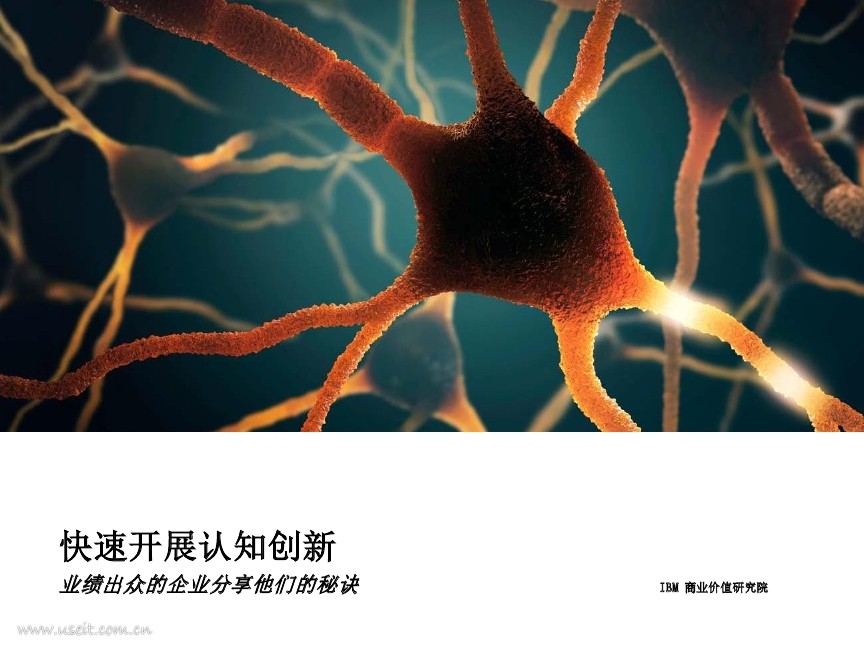 IBM 商业价值研究院：业绩出众的企业分享他们的秘诀