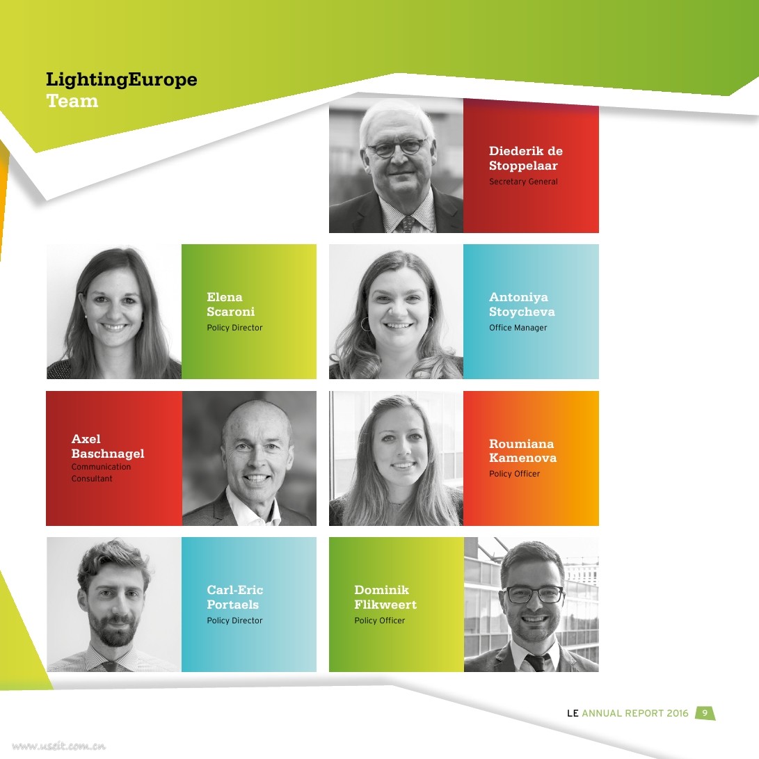 欧洲照明协会：2025年战略路线图（The Strategic Roadmap）（英文版）_第9页