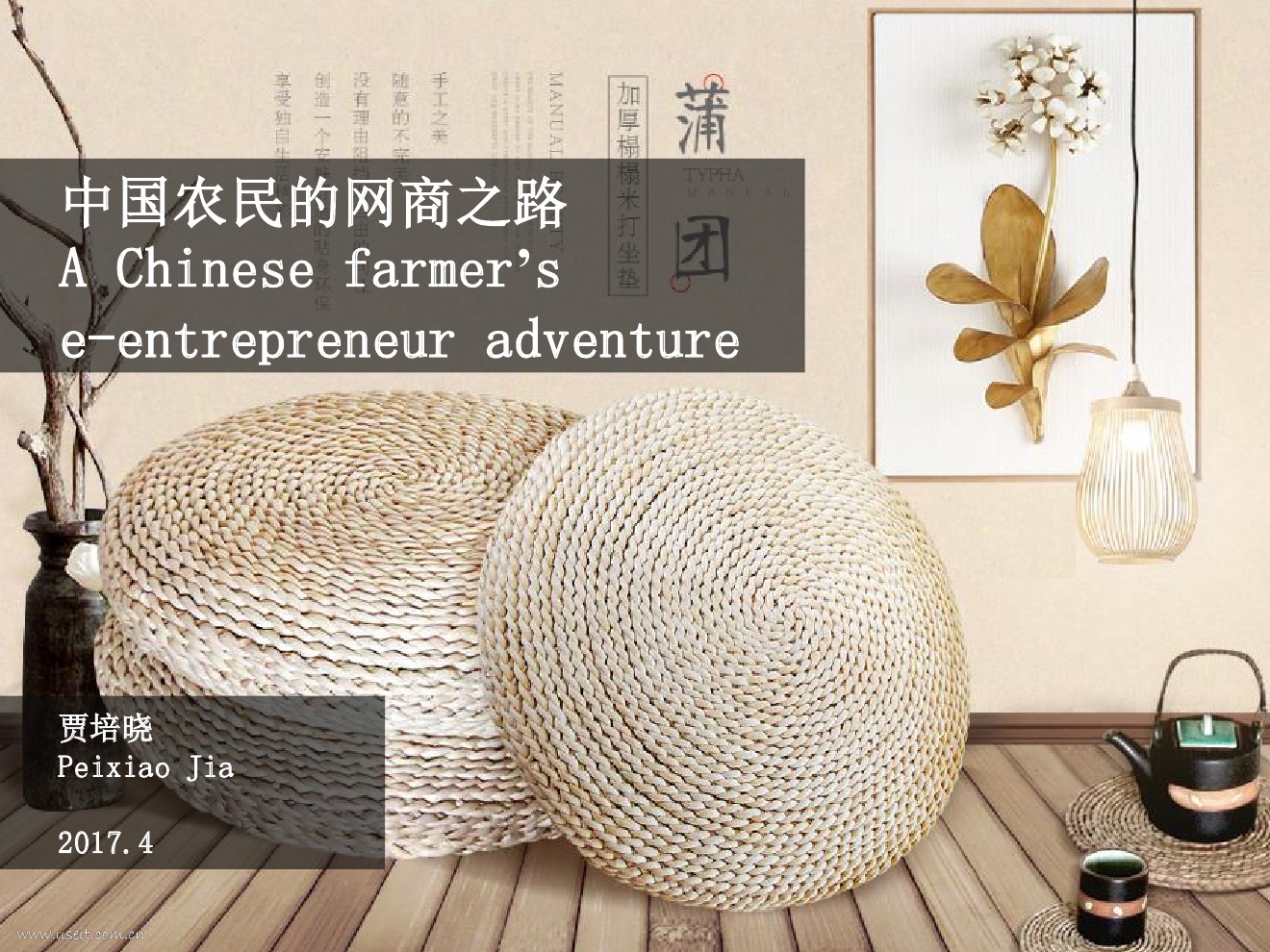 贾培晓：中国农民的网商之路【中英双语版】