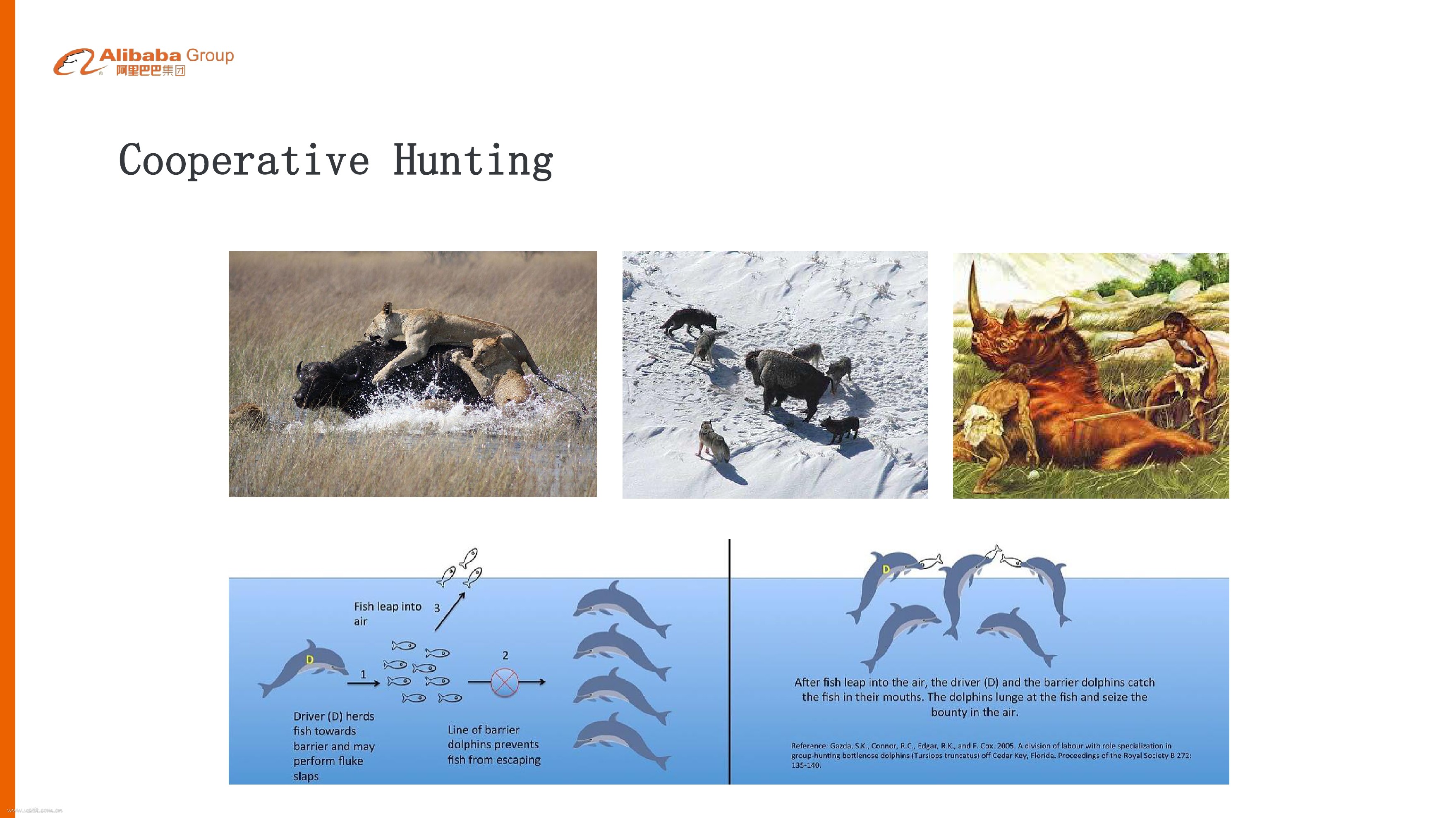 阿里巴巴认知计算实验室：星际争霸与人工智能_第7页