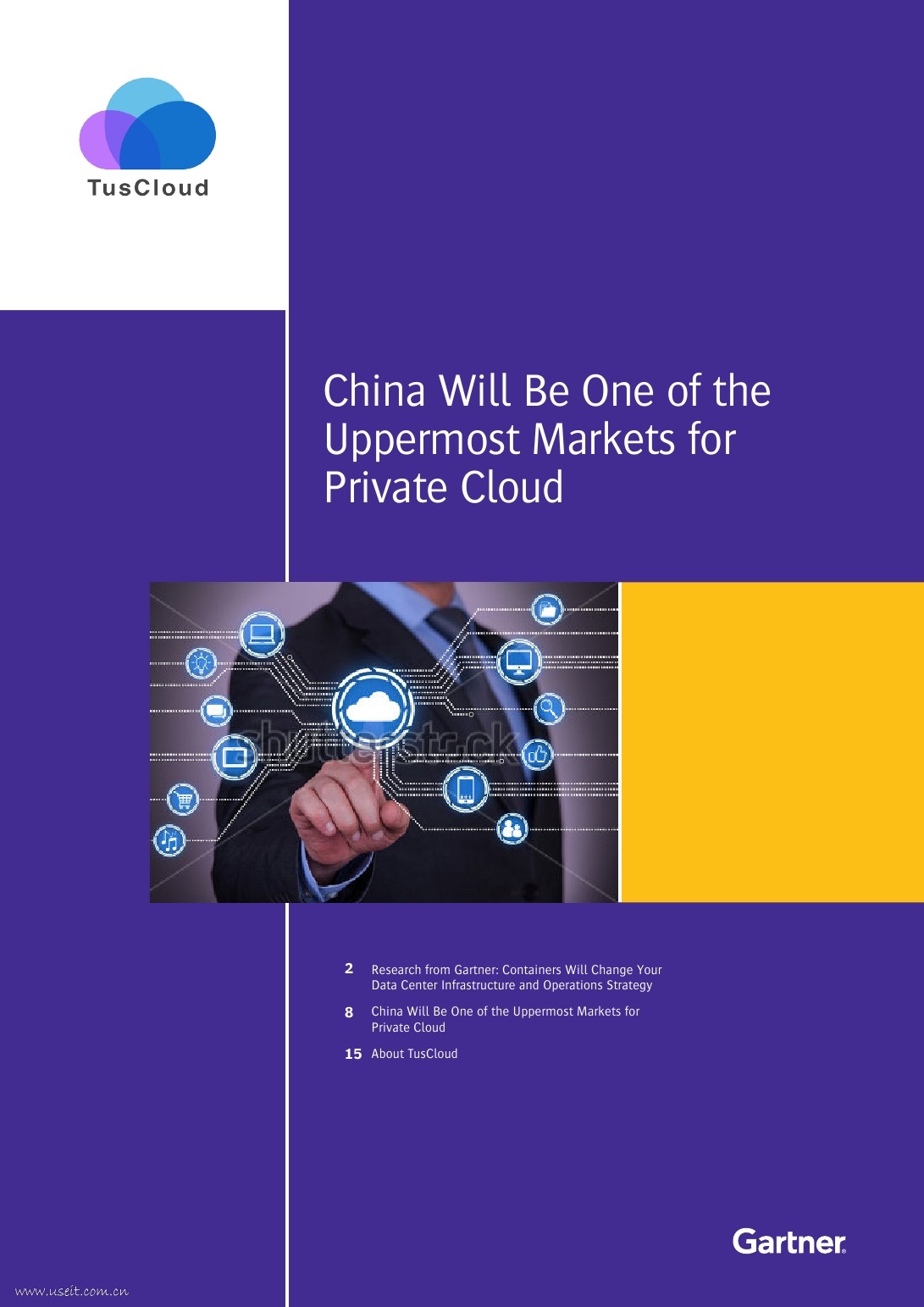 Gartner：中国将成为最主要的私有云市场（英文版）