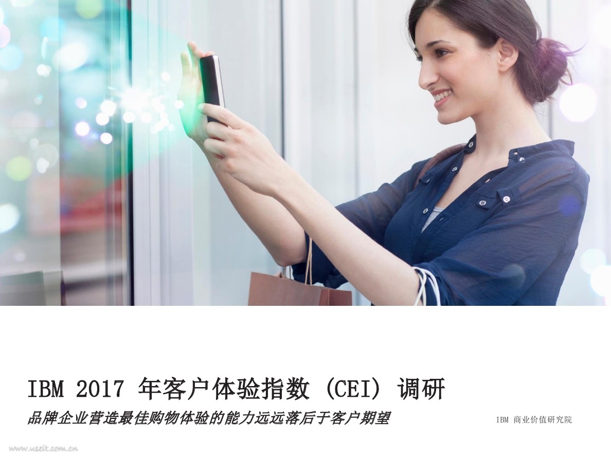 IBM 商业价值研究院：2017年客户体验指数 (CEI) 调研